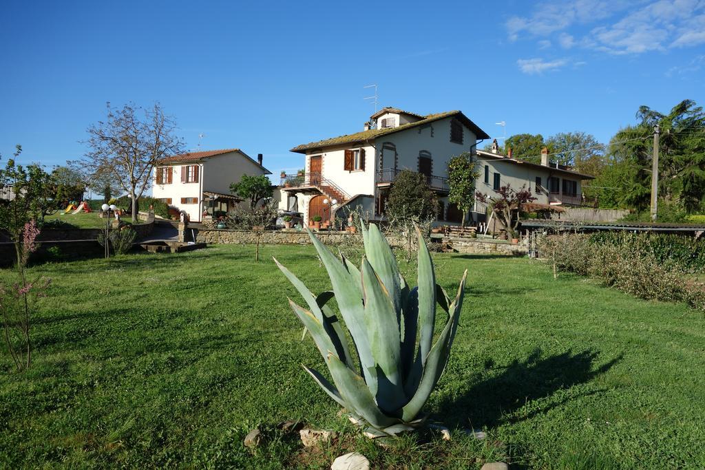 מונטה סן סאבינו Casa Aloe B&B מראה חיצוני תמונה
